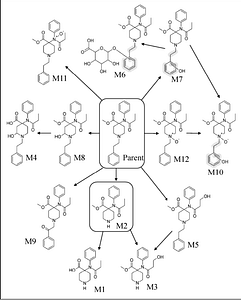 Harm Reduction carfentanil